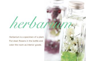 ハーバリウムづくり